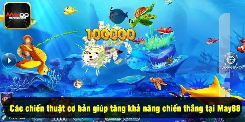 Các chiến thuật cơ bản giúp tăng khả năng chiến thắng tại May88