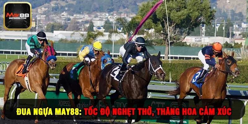 Đua Ngựa May88: Tốc Độ Nghẹt Thở, Thăng Hoa Cảm Xúc
