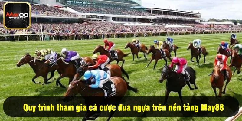 Quy trình tham gia cá cược đua ngựa trên nền tảng May88