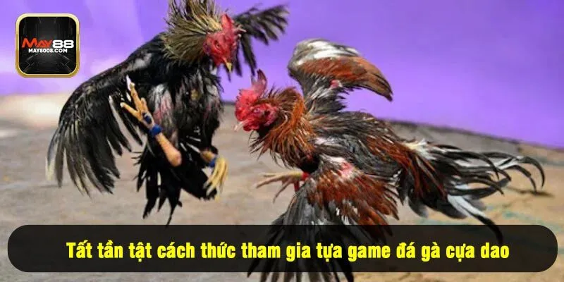 Tất tần tật cách thức tham gia tựa game đá gà cựa dao
