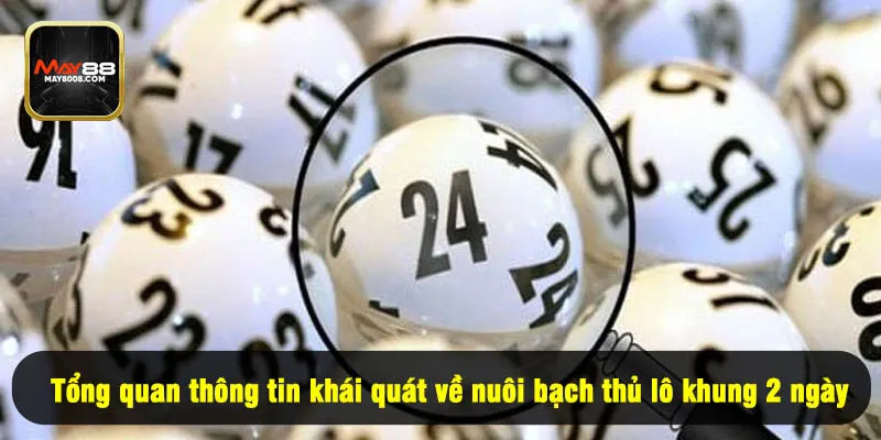 Tổng quan thông tin khái quát về nuôi bạch thủ lô khung 2 ngày